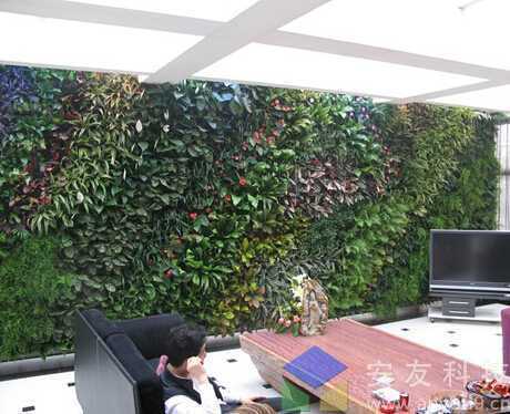 武汉高尔夫会所室内植物墙