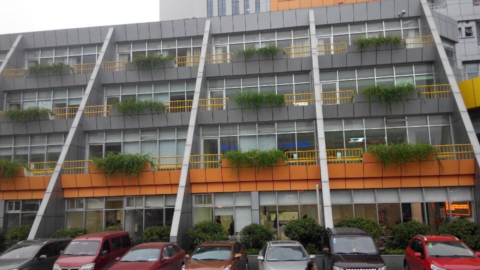 湖南省妇幼保健院阳台绿化案例